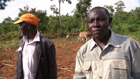 Kenia: Die Jagd nach Ackerland