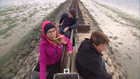 Drei Personen sitzen auf einem offenen Wagen und fahren auf Schienen durch das Wattenmeer.